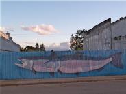 Salmon Fence & Mt Hood