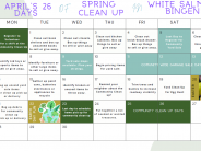 Spring Cleaning Ideas