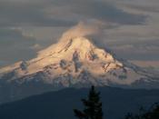 Mt Hood