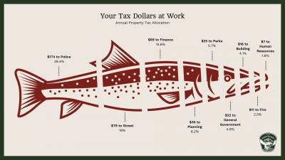 white salmon property tax allocation