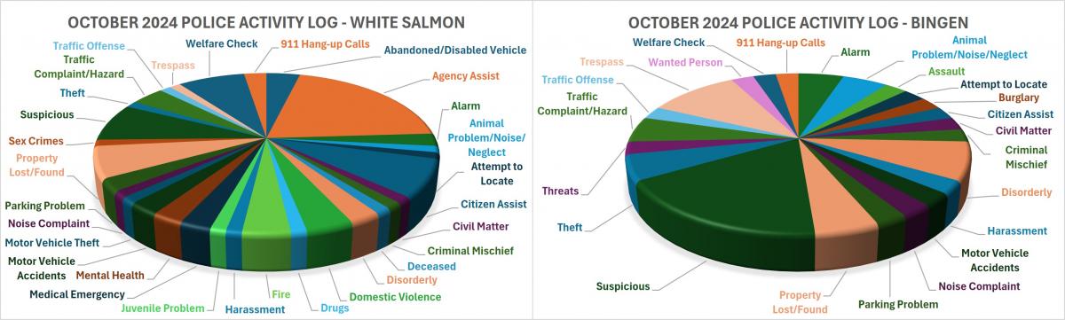 Police Activity Log October 2024